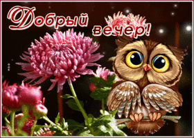 Прелестная открытка с совенком Добрый вечер!