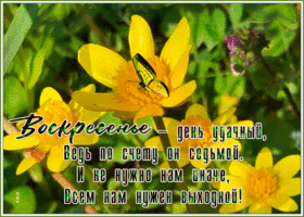 Прелестная открытка Воскресенье - день удачный!