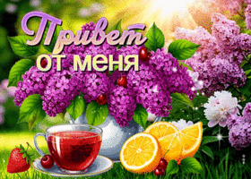 Прелестная весенняя открытка Привет от меня