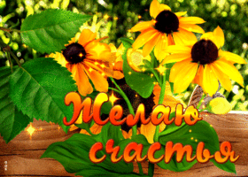 Превосходная открытка Желаю счастья с цветами