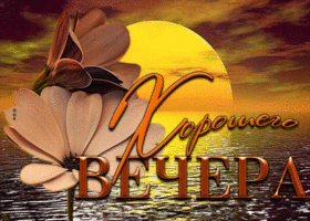 Превосходная открытка с милыми цветами Хорошего вечера