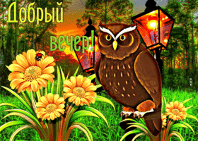 Превосходная открытка с совушкой Добрый вечер!