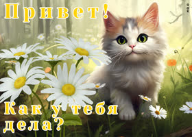 Прикольная открытка Привет! Как у тебя дела?