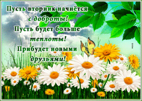 Прикольная открытка Пусть вторник начнется с доброты!