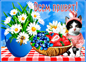 Прикольная открытка с фруктами Всем привет!