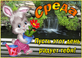 Прикольная открытка со средой