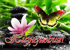 Прилетела тебе пожелать счастья и добра