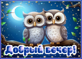 Притягательная и обворожительная открытка с совами Добрый вечер