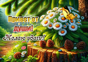 Привет от души! Желаю удачи