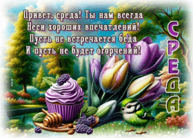 Привет, среда! Ты нам всегда неси хороших впечатлений