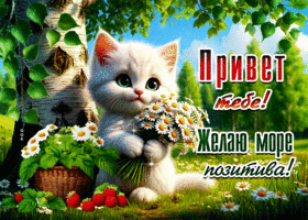 Привет тебе! Желаю море позитива