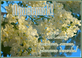 Приветик! Желаю теплого, ясного, удачного денечка!