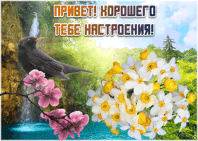 Приветик - Желаю здоровья и удачи