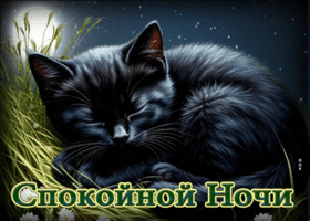 Приятная гиф-открытка с котиком Спокойной ночи
