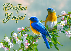 Приятная картинка с добрым утром