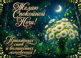 Приятных снов и волшебных мгновений