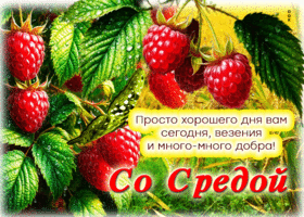 Просто хорошего дня вам сегодня, везения и много-много добра