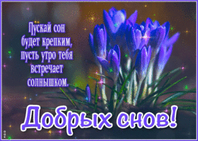 Пускай сон будет крепким, пусть утро тебя встречает солнышком