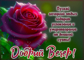 Пусть вечерний отдых подарит успокоение и умиротворение