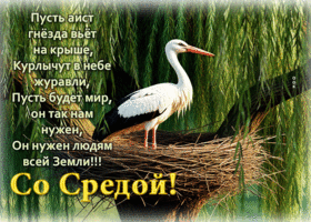 Пусть аист гнезда вьет на крыше, курлычат в небе журавли