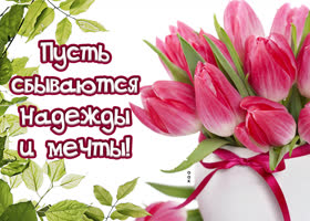 Пусть будет полоса удачи и любви