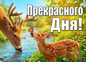 Пусть день будет таким же тёплым, как лето