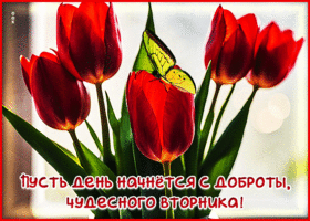 Пусть день начнется с доброты, чудесного вторника