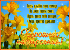 Пусть денек тебя сегодня лишь приятно удивляет!