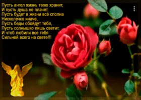 Пусть душа не плачет