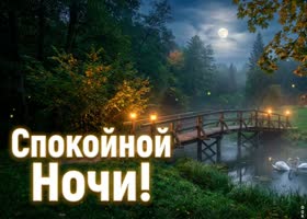 Пусть эта ночь наполнит тебя силами, гармонией и светлыми мыслями.