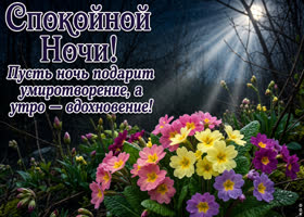 Пусть эта ночь подарит умиротворение, а утро вдохновение!