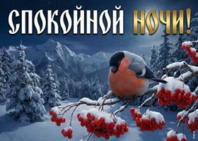 Пусть эта зимняя ночь будет тихой, красивой и наполненной приятными мыслями.