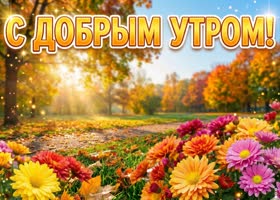 Пусть это осеннее утро подарит спокойствие и красивые мысли.
