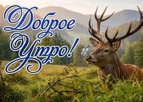 Пусть это утро подарит тебе спокойствие