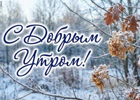 Пусть это утро принесёт новые силы, красивые мысли и гармонию в душе.