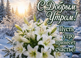 Пусть этой зимой утро будет приносить счастье
