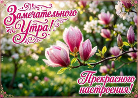 Пусть этот день будет наполнен нежностью и волшебством.