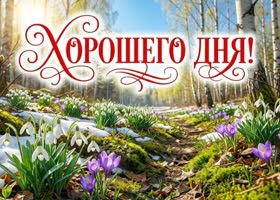 Пусть этот день подарит тебе радость и вдохновение!