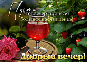 Пусть этот вечер принесет большое наслаждение! Добрый вечер