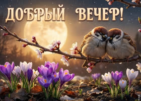 Пусть этот весенний вечер подарит красивые мысли, спокойствие и хорошее настроение.
