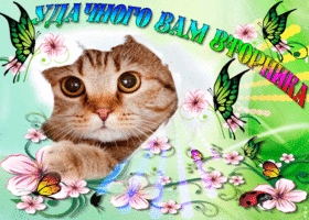 Пусть этот вторник принесет радость