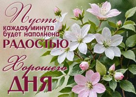Пусть каждая минута будет наполнена радостью! Хорошего дня