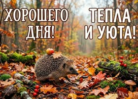 Пусть каждый час этого дня радует тебя