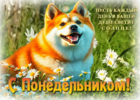 Пусть каждый день в вашей душе светит солнце! С понедельником