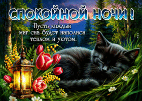 Пусть каждый миг сна будет наполнен теплом и уютом