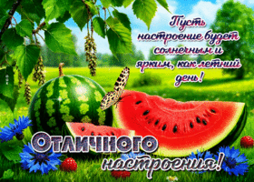 Пусть настроение будет солнечным и ярким, как летний день