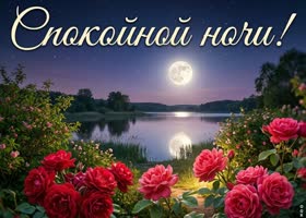Пусть ночь подарит сладкие сны