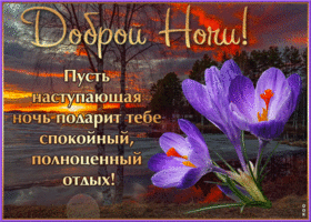 Пусть ночь подарит тебе спокойный, полноценный отдых!