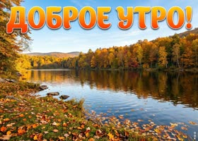 Пусть осеннее утро подарит силы и вдохновение на весь день.