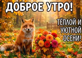Пусть осенние краски сделают этот день ярче.